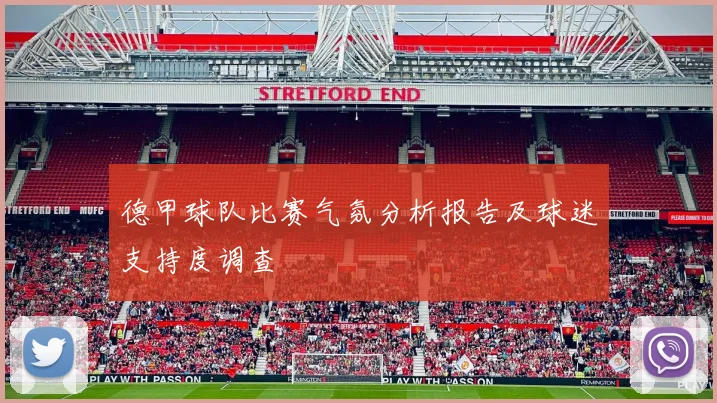 德甲球队比赛气氛分析报告及球迷支持度调查