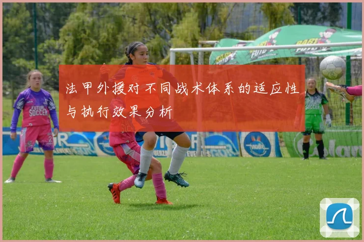 法甲外援对不同战术体系的适应性与执行效果分析