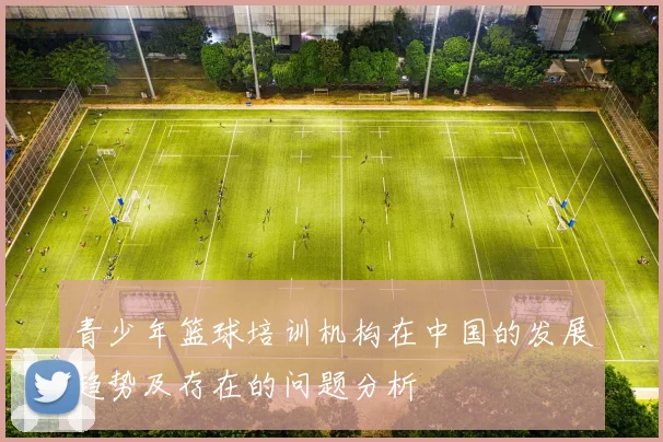 青少年篮球培训机构在中国的发展趋势及存在的问题分析