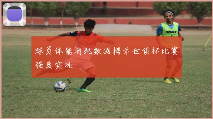 球员体能消耗数据揭示世俱杯比赛强度实况