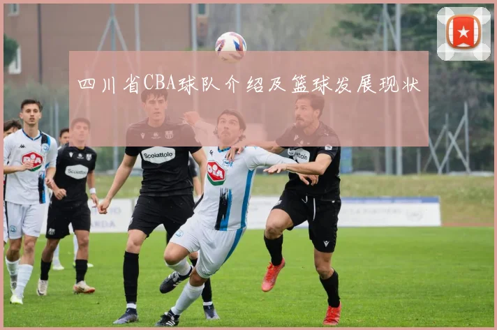 四川省CBA球队介绍及篮球发展现状