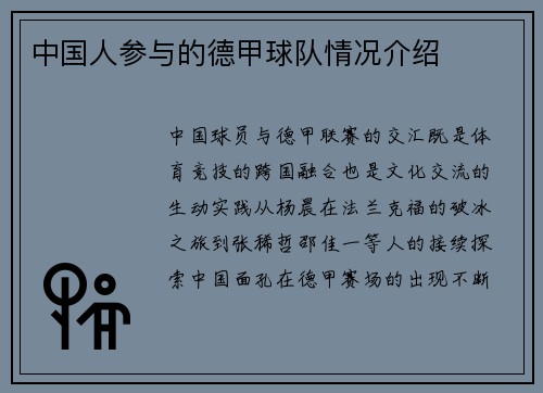 中国人参与的德甲球队情况介绍
