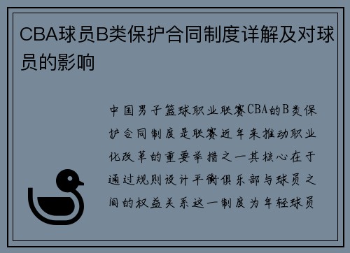 CBA球员B类保护合同制度详解及对球员的影响